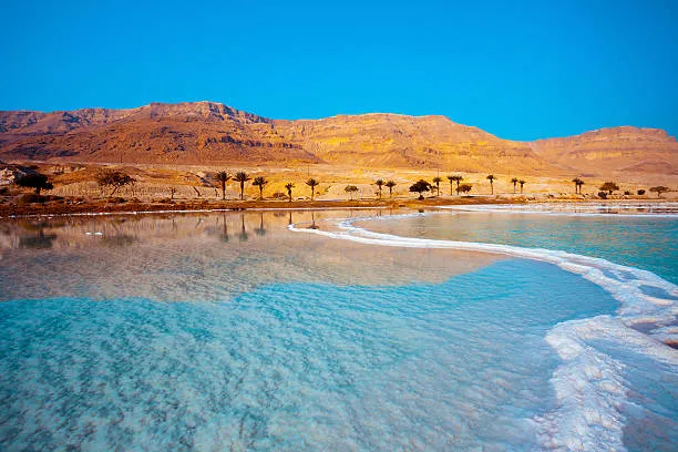 the Dead Sea